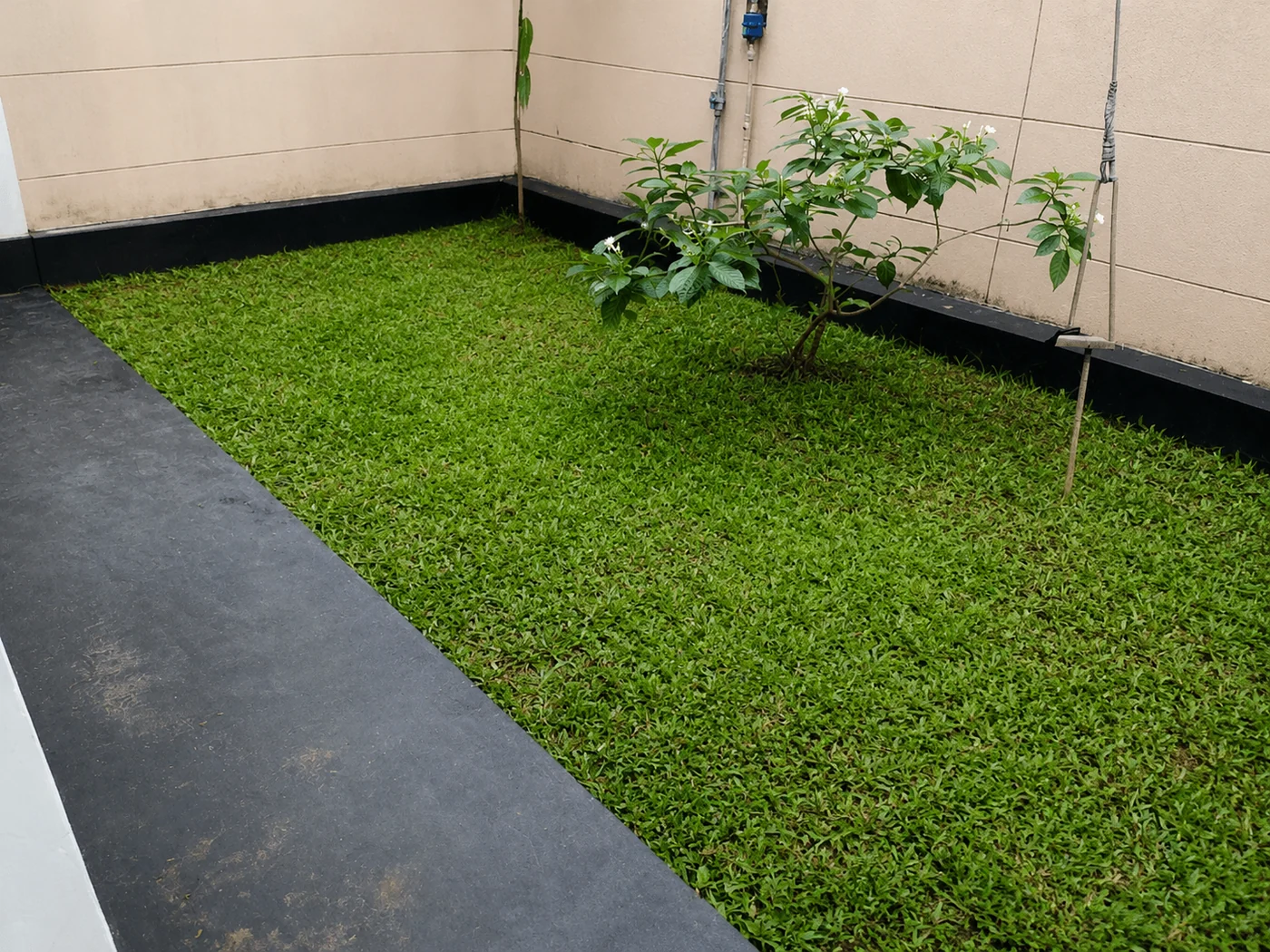 Small garden space at Villa Yuvin