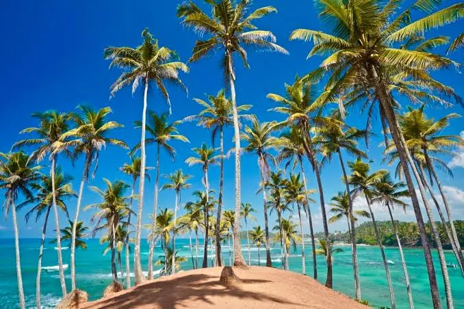 Mirissa near Villa Yuvin